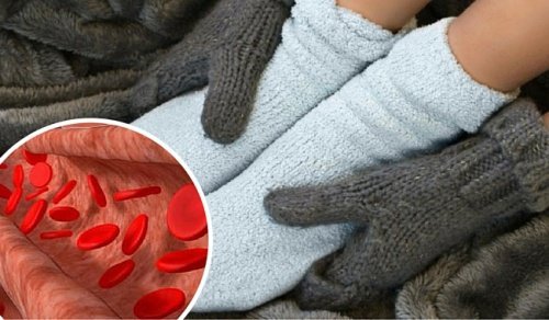 Натурални средства за кръвообращението