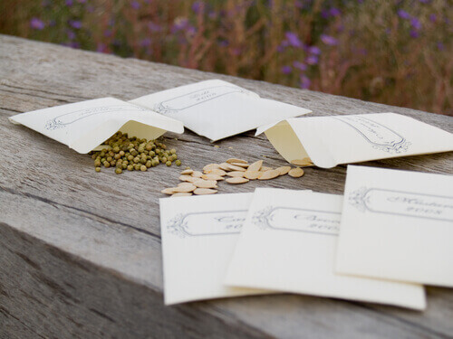 приложения на кухненската хартия за тестване на семената