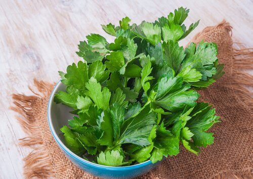 Целина при разширени пори