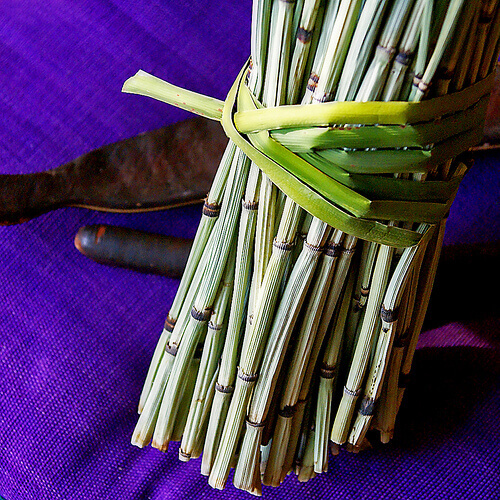 билкови вани на стъпалата против излишните течности