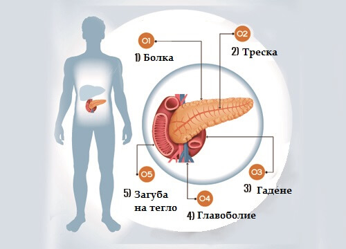 6 знака, че имате проблем с функционирането на панкреаса