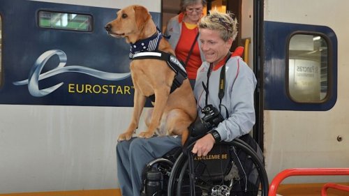 евтаназията