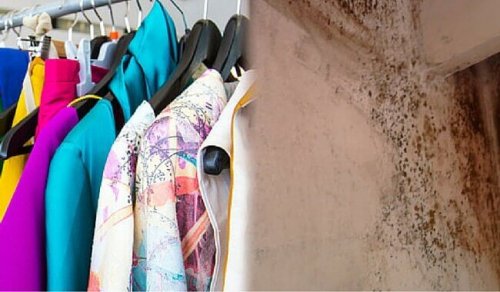 Дарет старите дрехи на хората в нужда