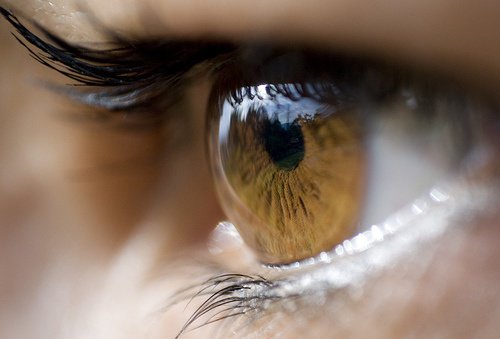 8 ефикасни лека при ечемик на окото