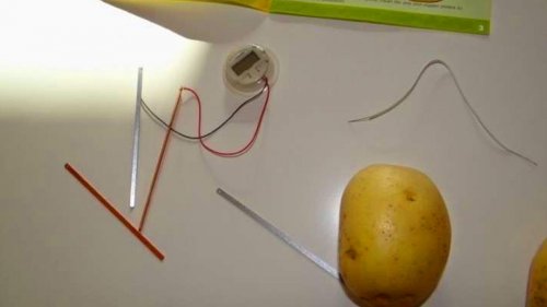 Как да направим лампа от  картоф