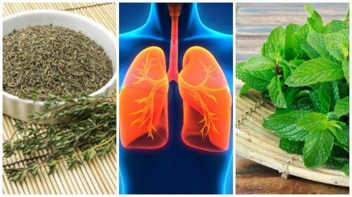 8 билки за подобряване здравето на белите дробове