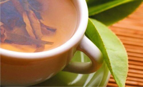 Чайот бяла върба за овладяване на симптомите на тендинита.