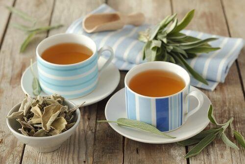 Синдромът на раздразнените черва се лекува с чай от салвия