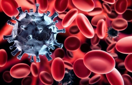 Червеното зеле укрепва имунната система
