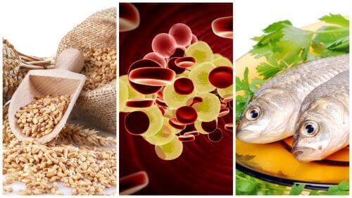 7 храни, контролиращи нивата на холестерол в организма