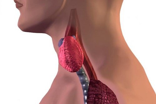 Как да разберете дали щитовидната ви жлеза не функционира добре
