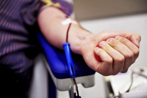 Как да станете донор на костен мозък