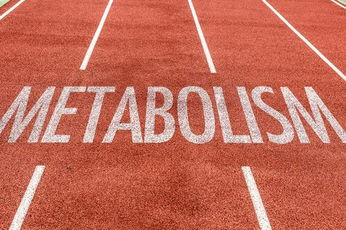 опознаването на метаболизма ви е крачка в борбата срещу мазнините