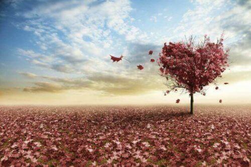 Разделите са част от живото