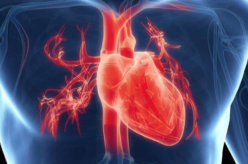 7 симптома, че сърцето ви не функционира правилно