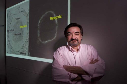 Американски учени създадоха нова молекула бореща се с рака на яйчниците и панкреаса