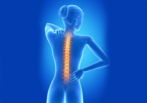За здрав гръбначен стълб дръжте гърба си изправен
