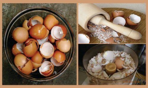 6 интересни натурални средства с черупки от яйца
