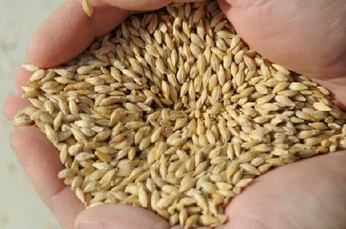 Трябва да включите в диетата си ечемик, ако имате дивертикулит.