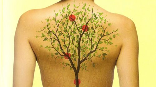 Как органите и емоциите взаимодействат