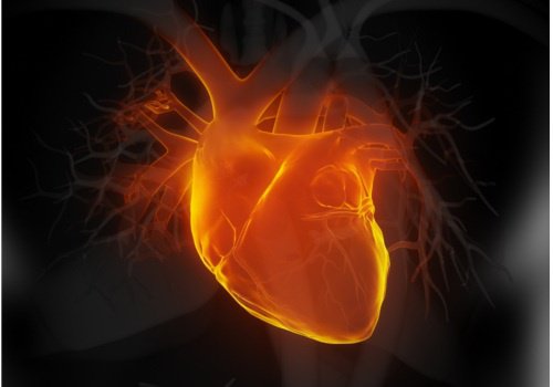 Внимавайте за тези 6 ранни признака на сърдечната недостатъчност
