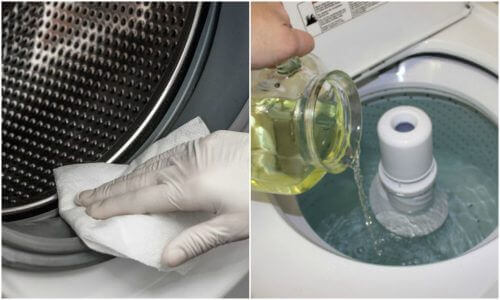 Премахнете мухъла от пералната машина с три зелени решения