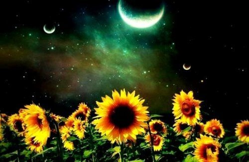 Най-ценното в живота не е материалното, а емоционалните връзки