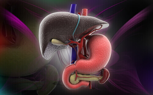 Наличието на мастна чернодробна болест се установява с кръвни тестове
