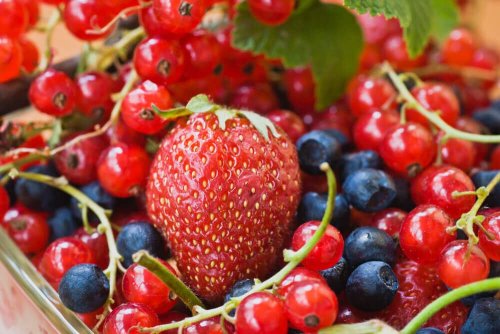 червените плодове и зеленчуци оказват добър ефект на разширените вени