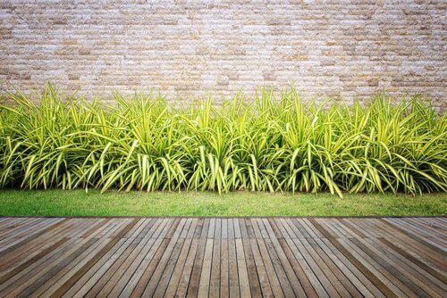 приложение на бирата в градината