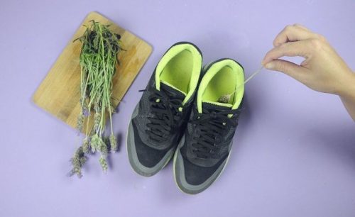 премахнете миризмата на обувките с помощта на лавандула