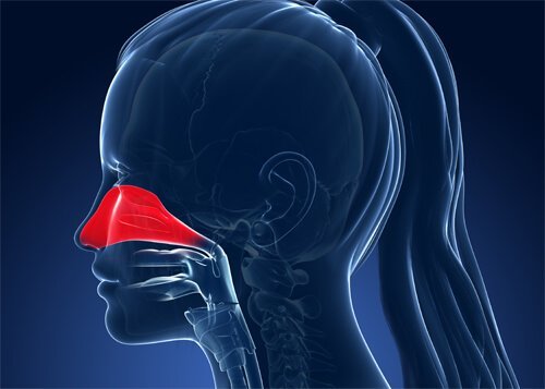 Фактори за алергичния ринит