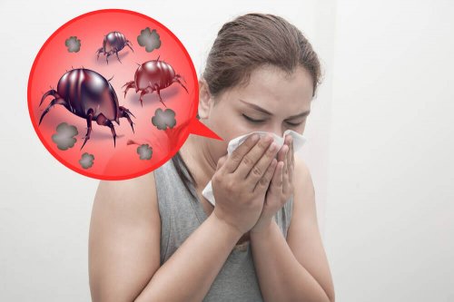 алергията към домашните акари е преодолима, ако вземете подходящите мерки