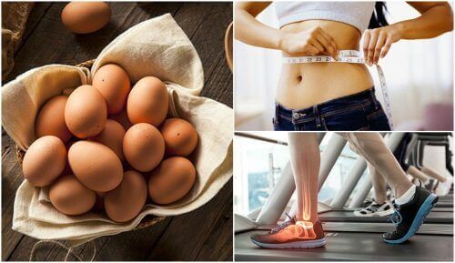 7 причини защо е добра идея да добавите яйца към вашата диета