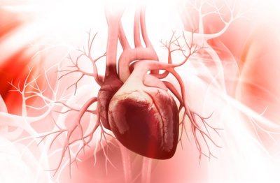 5 начина за предотвратяване на синдромът на разбитото сърце
