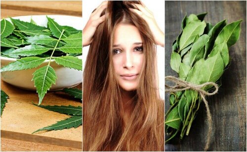 Има редица натурални рецепти с розмарин за красива и здрава коса