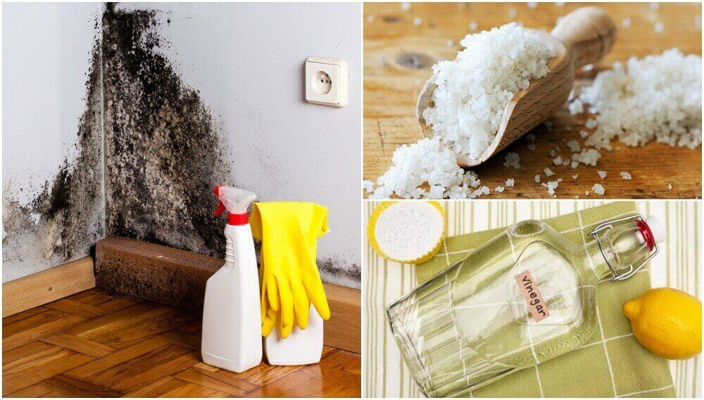 5 ефективни начини за премахване на влагата във вашия дом