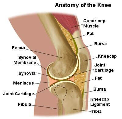 появата на болка в коляното е често срещана