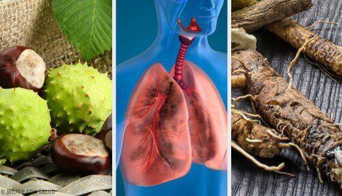 Опитайте тези 4 домашни средства за по-добро дишане и укрепване на белите дробове