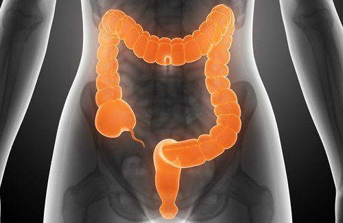 грижата за здравето на дебелото черво е изключително важна