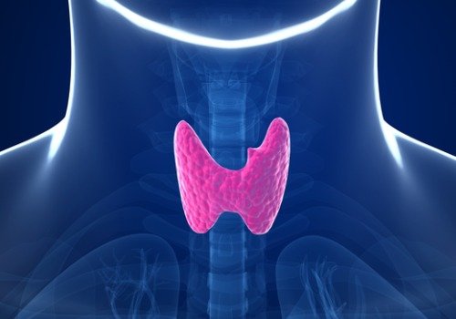5 навика увреждащи щитовидната жлеза