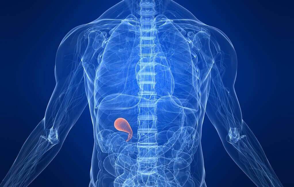 Най-добрата диета след холецистектомия или отстраняване на жлъчния мехур