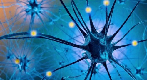 съдържанието на триптофан в храните е основен фактор за повишаване нивото на серотонина