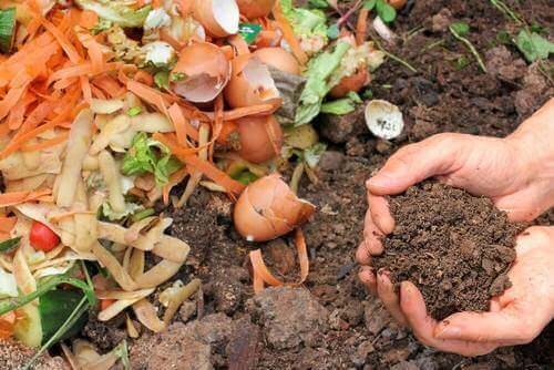 Пет начина за приготвяне на натурален компост за растенията ви