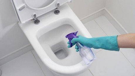 едно от нещата, които можете да почиствате с бял оцет е тоалетната чиния