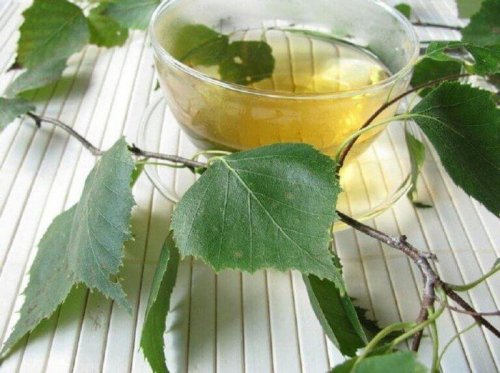 Диуретични чайове: чай от бреза в стъклена чаша и листа от бреза около него