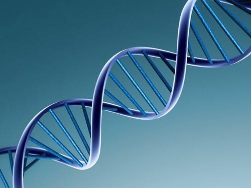 Близнаци и ДНК