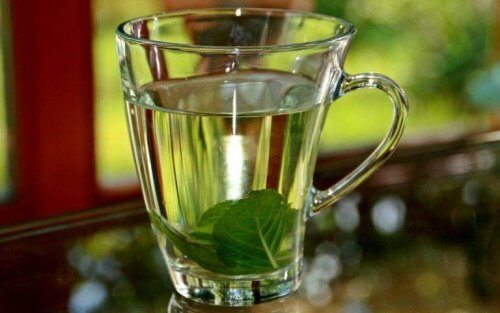 Чай от босилек при треска