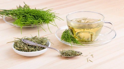 Отслабнете с помощта на хвоща - растение с редица ценни за здравето качества.