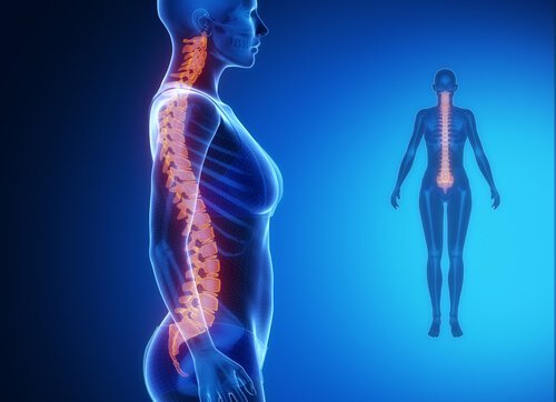 Под влиянието на среса: болка в долната част на гърба. Снимка на гръбначния стълб 